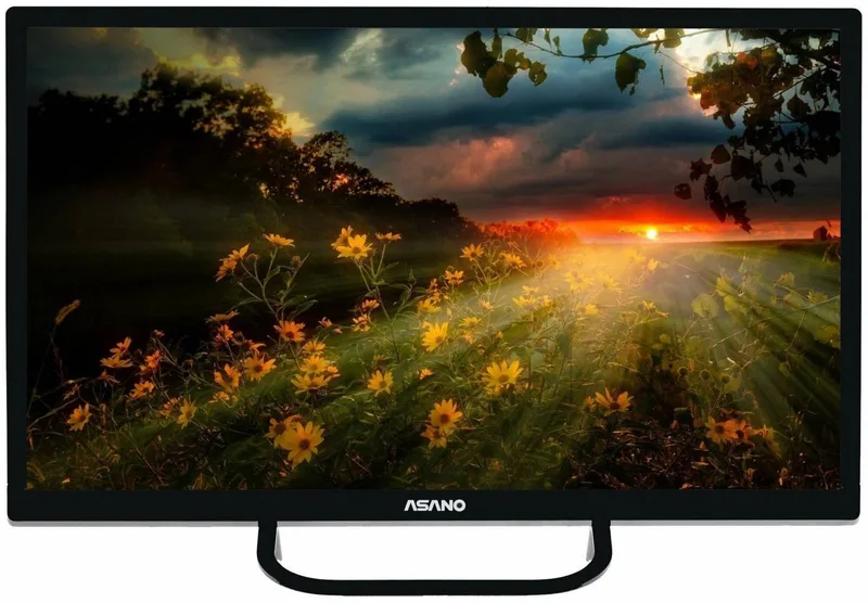 Телевизор 24" ASANO 24LH1110T